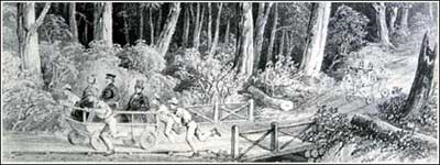 convict power in tasmania